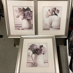 3 framed mint condition pictures